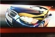 Hot Laminated Backlit FXB551 510gsm
